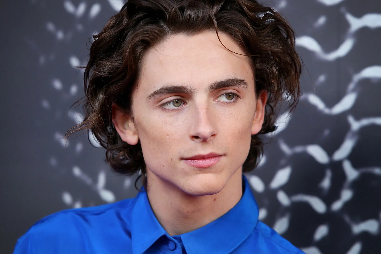 50-facts-about-timothee-chalamet