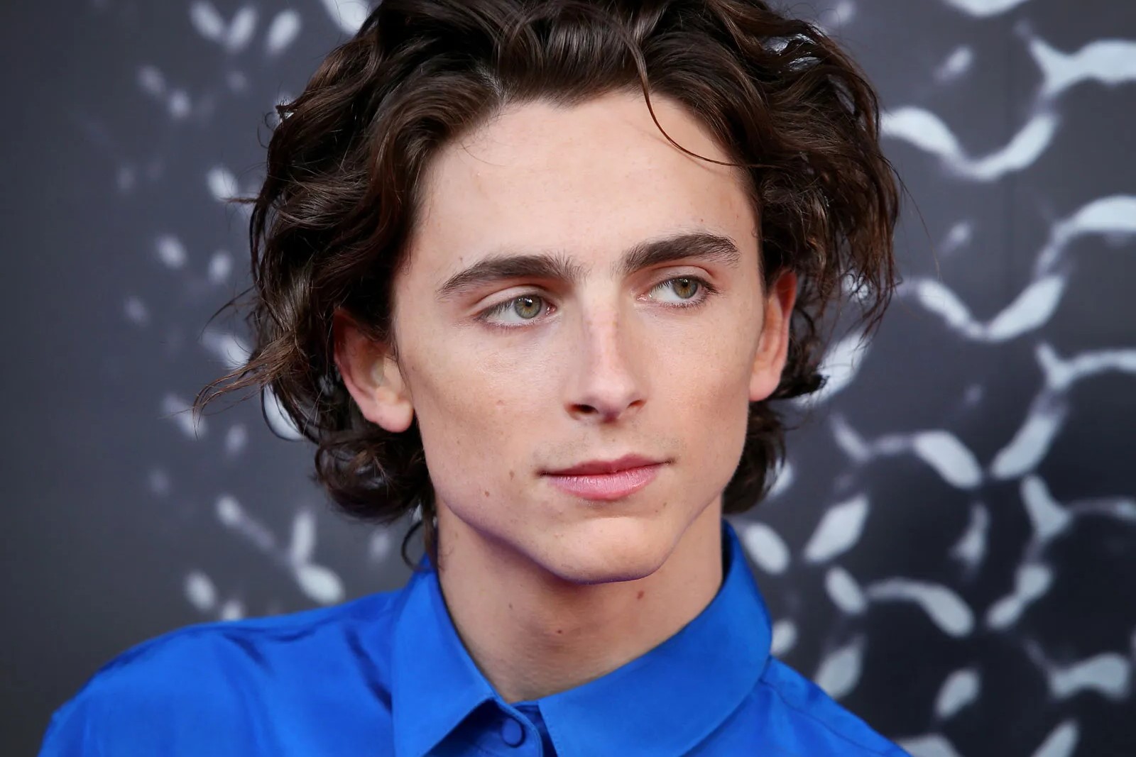 50 Facts About Timothee Chalamet Facts