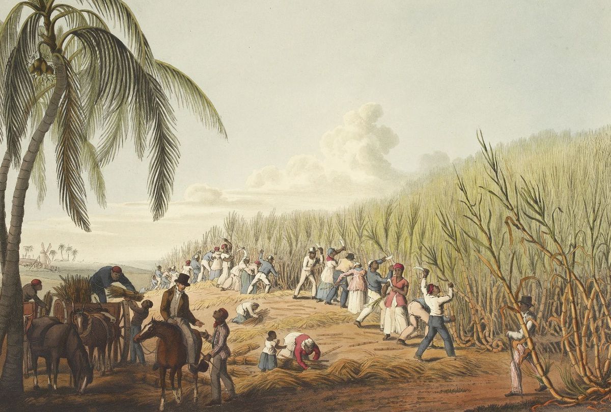 25-facts-about-brazilian-slave-revolt-of-1807