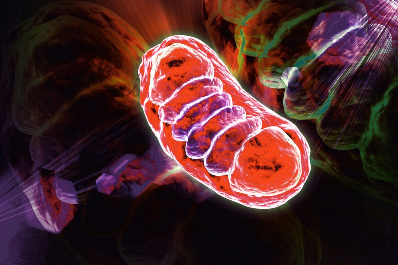 25-facts-about-mitochondrial-cytopathy-generic-term