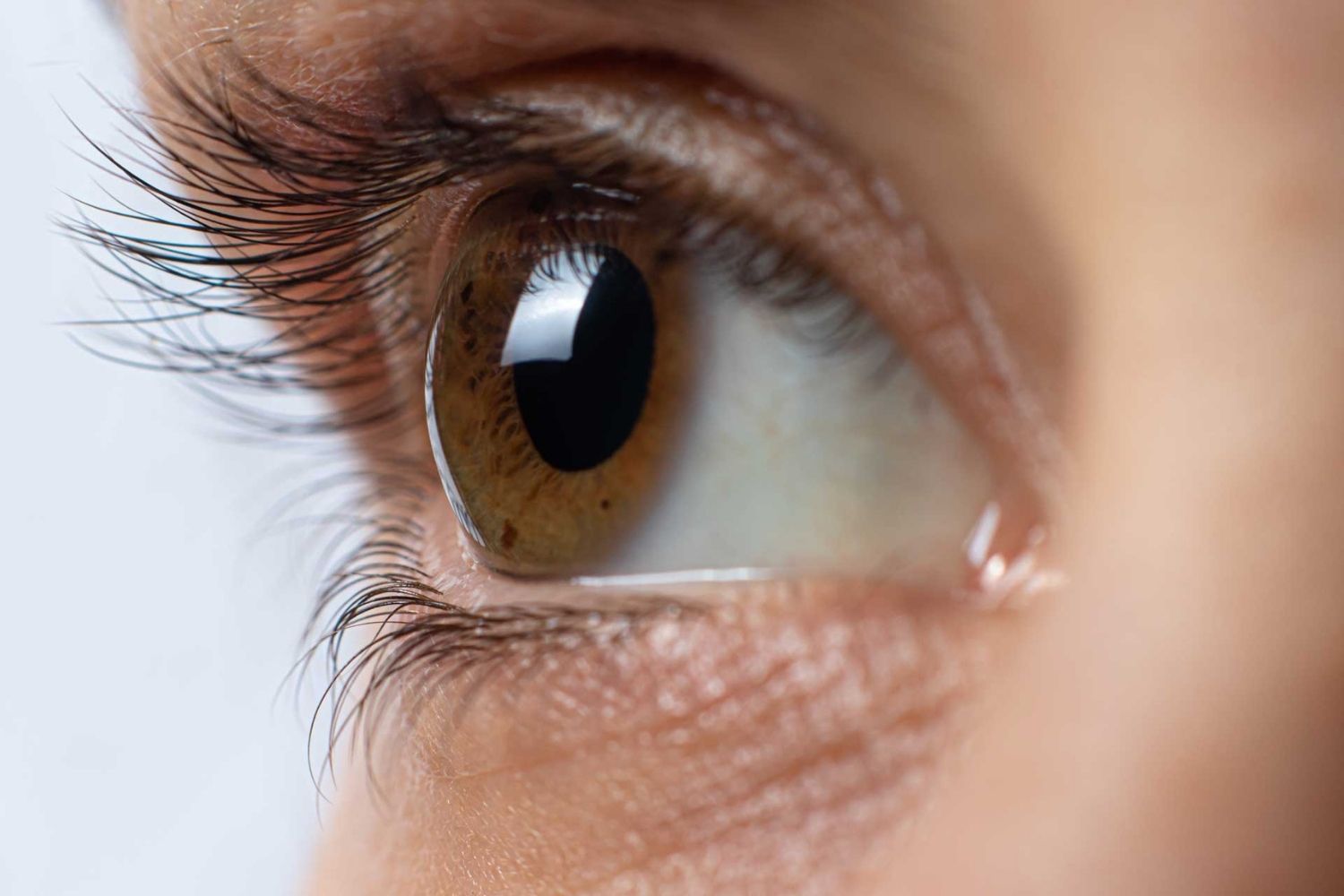 25-facts-about-neuropathy-congenital-sensory-neurotrophic-keratitis