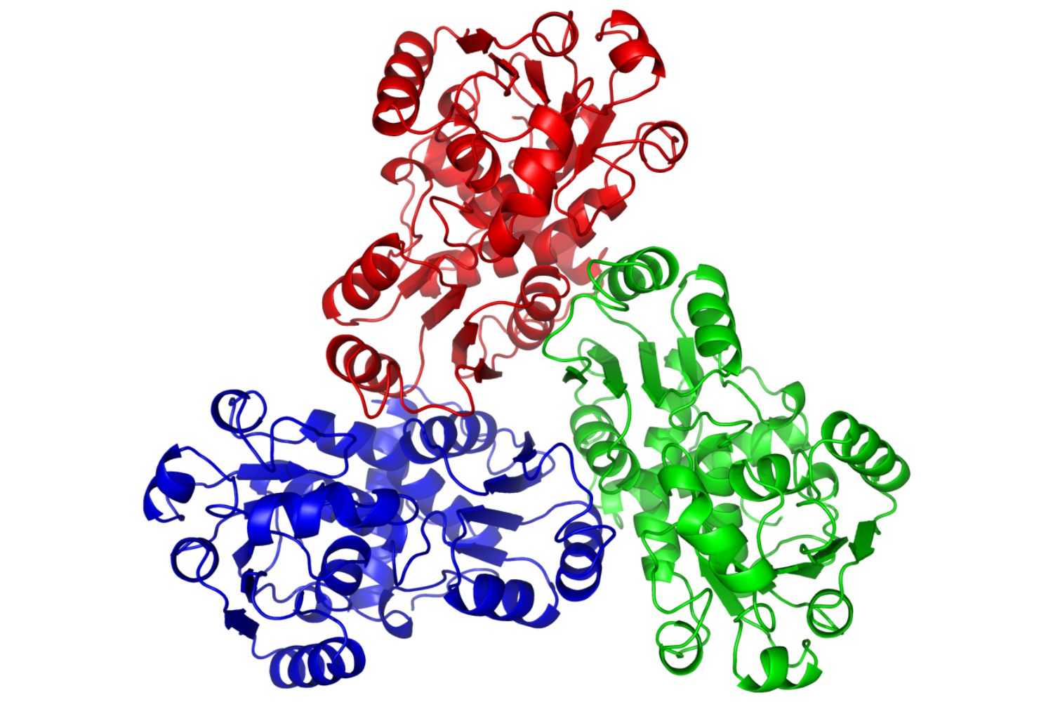 25-facts-about-ornithine-carbamoyl-phosphate-deficiency