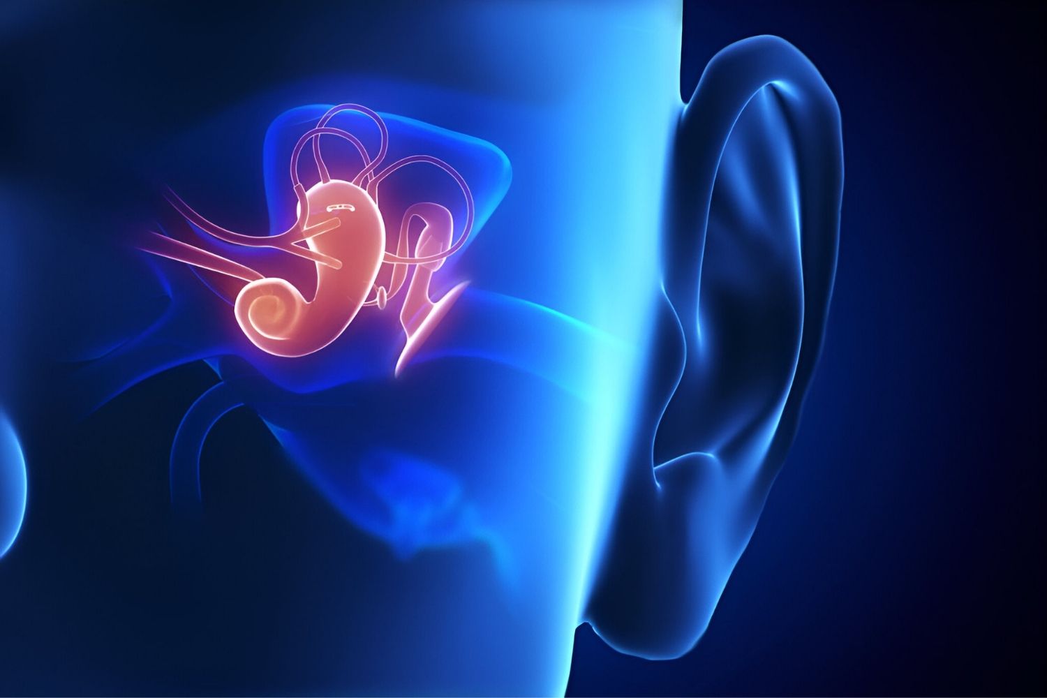 25-facts-about-renal-genital-middle-ear-anomalies