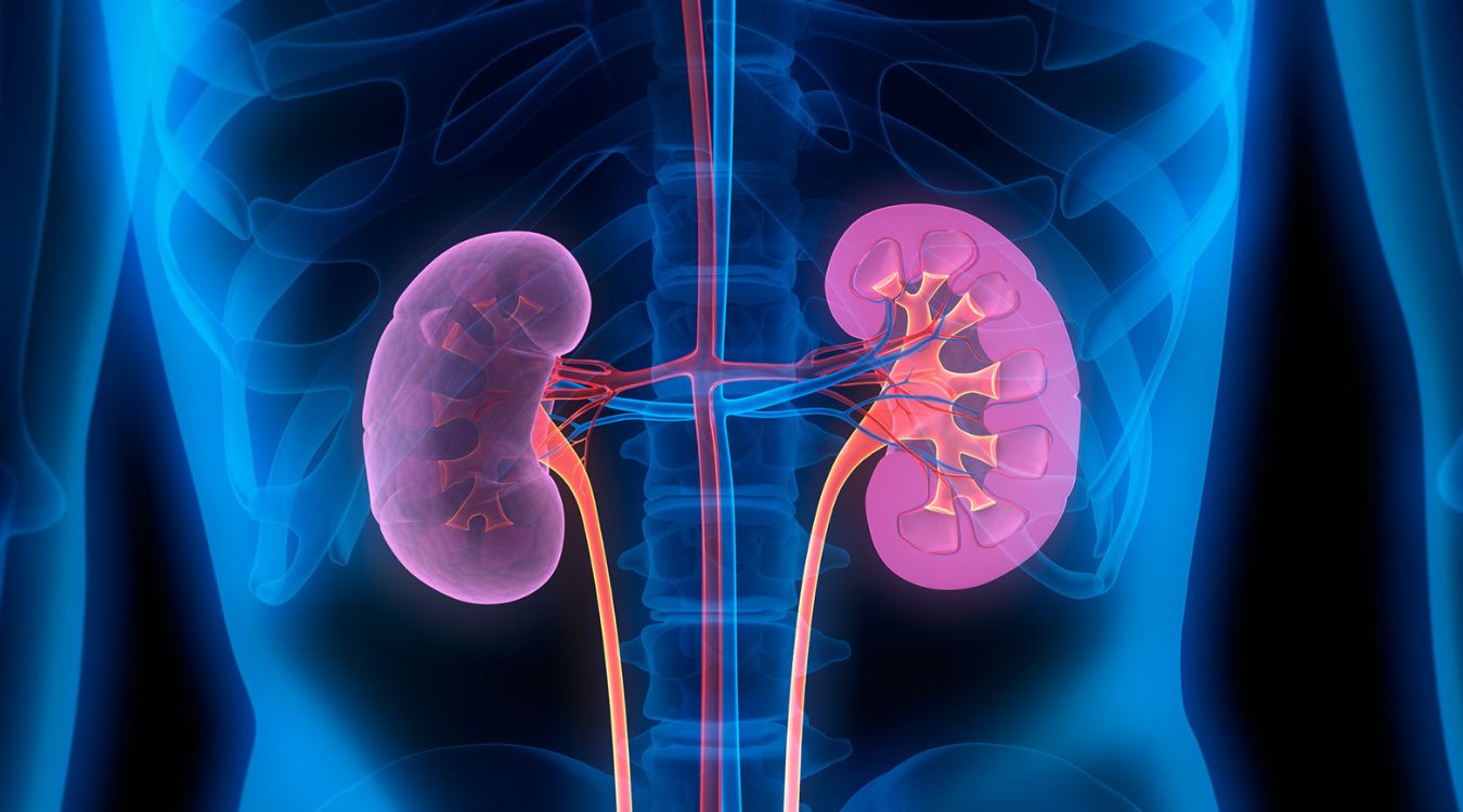 30-facts-about-autosomal-recessive-polycystic-kidney-disease-arpkd