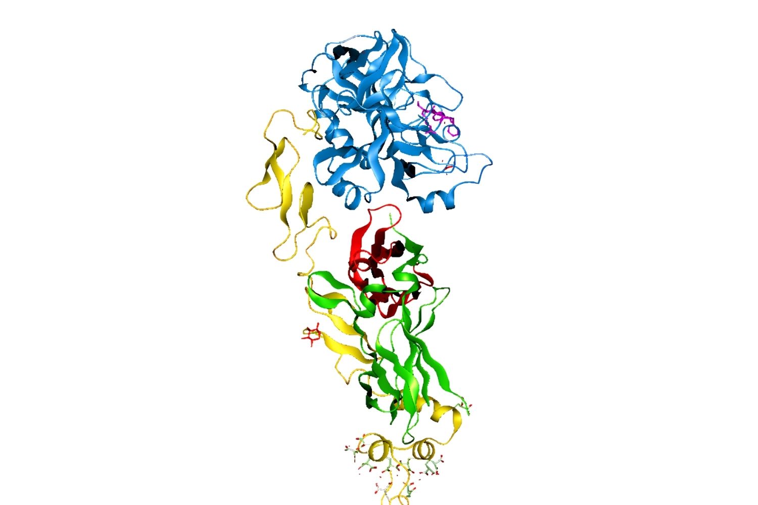 30-facts-about-congenital-proconvertin-deficiency