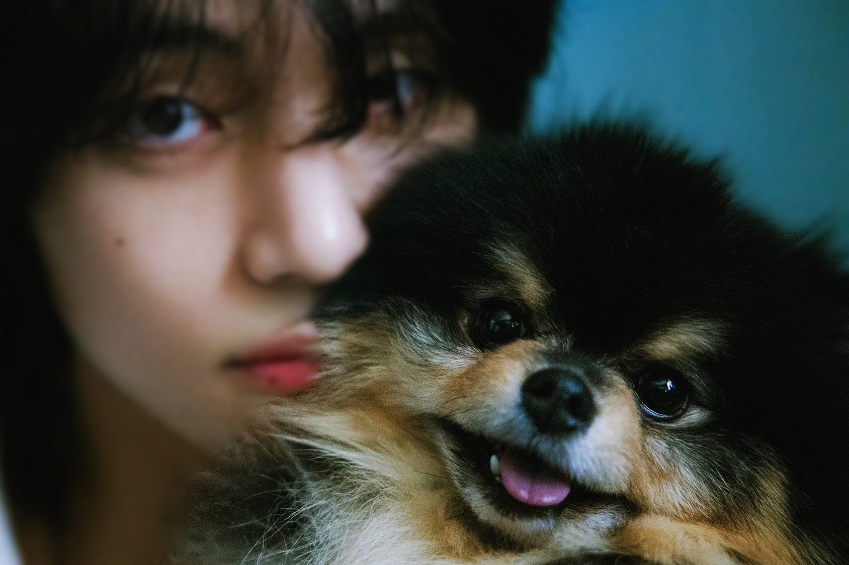 30-facts-about-yeontan