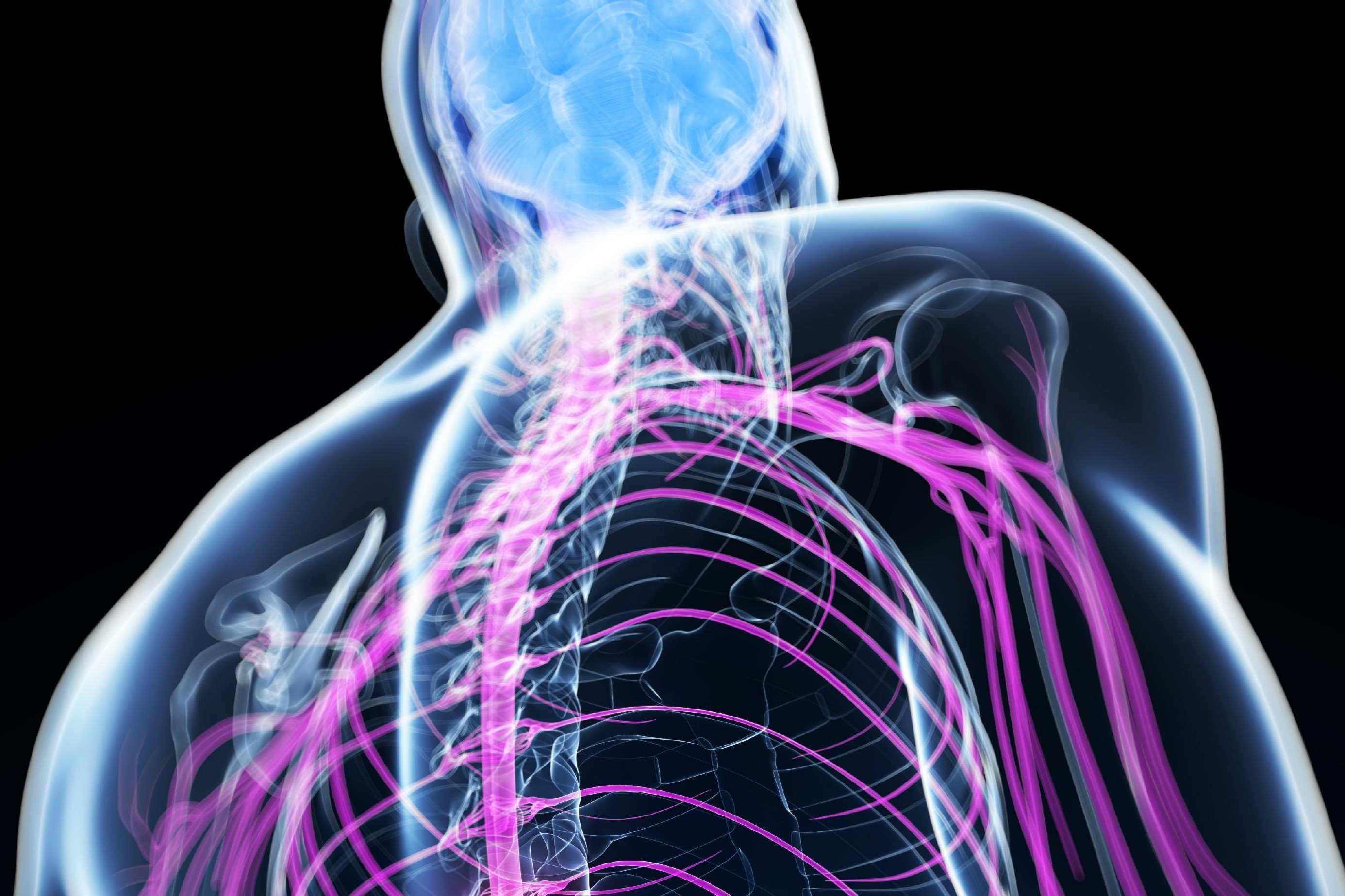 35-facts-about-dysferlinopathies