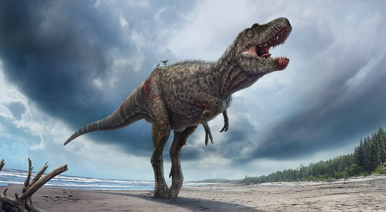 35-facts-about-gorgosaurus