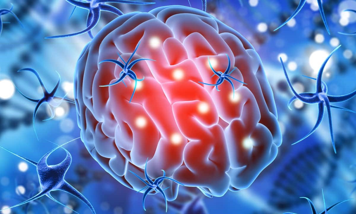 35-facts-about-organic-brain