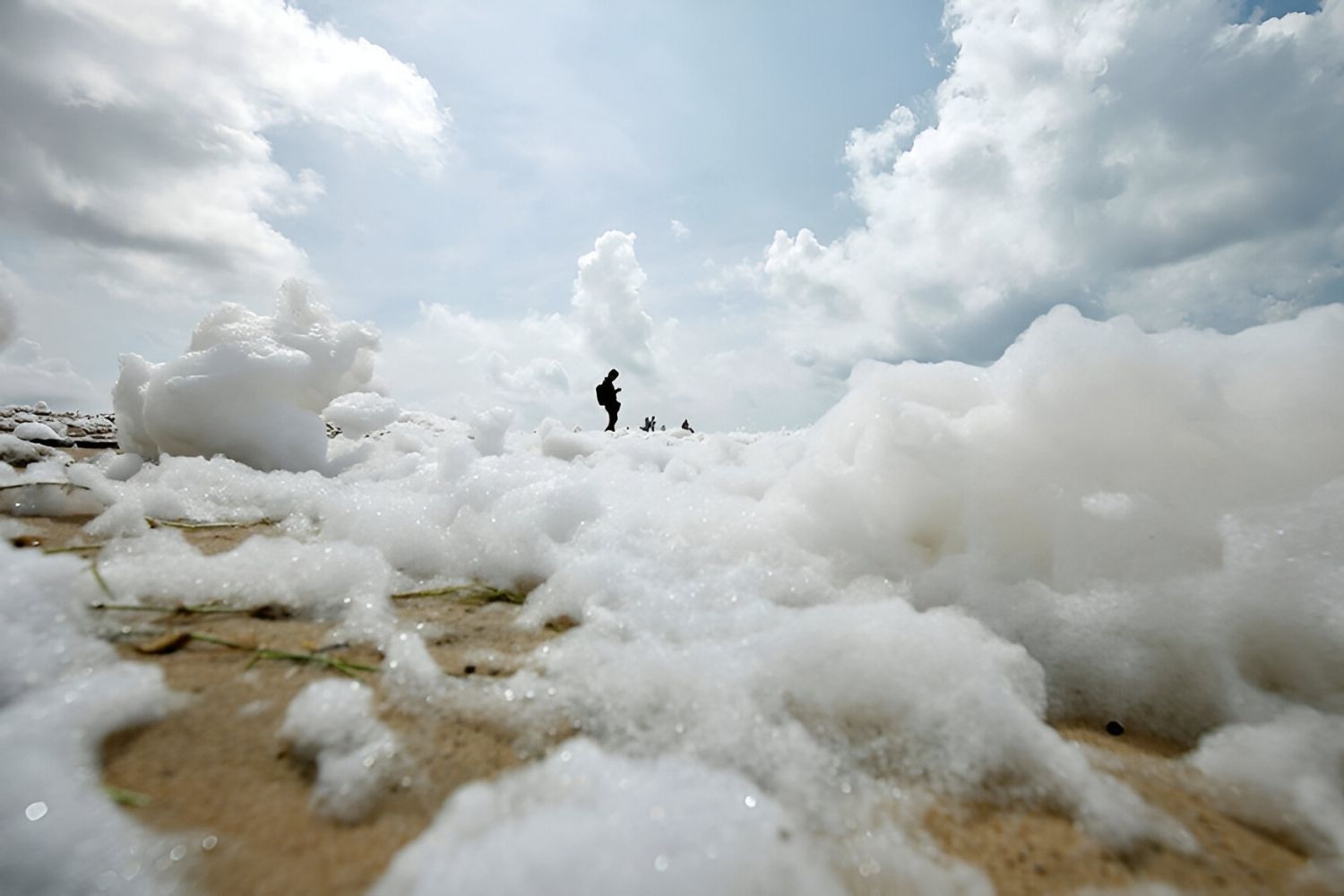 35-facts-about-toxic-foam-marina-beach-india