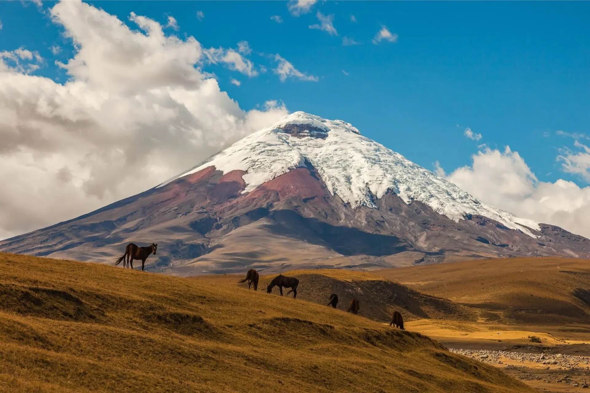 38-facts-about-cotopaxi