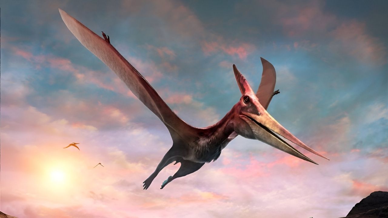 39-facts-about-pterosaur-feathers