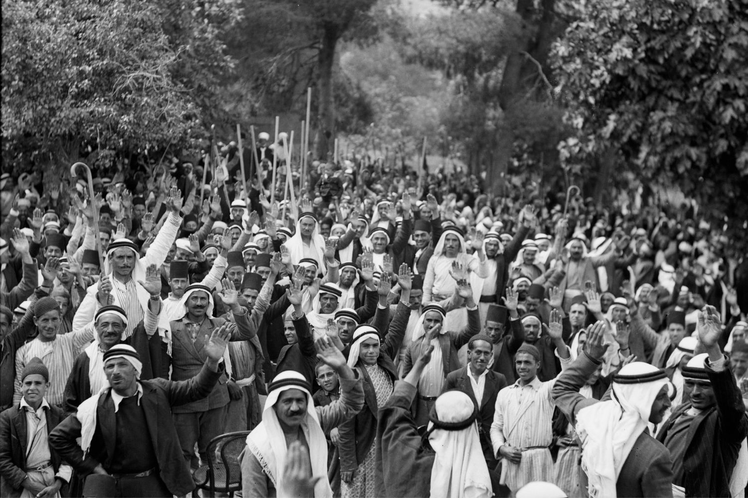 50-facts-about-arab-revolt-in-palestine