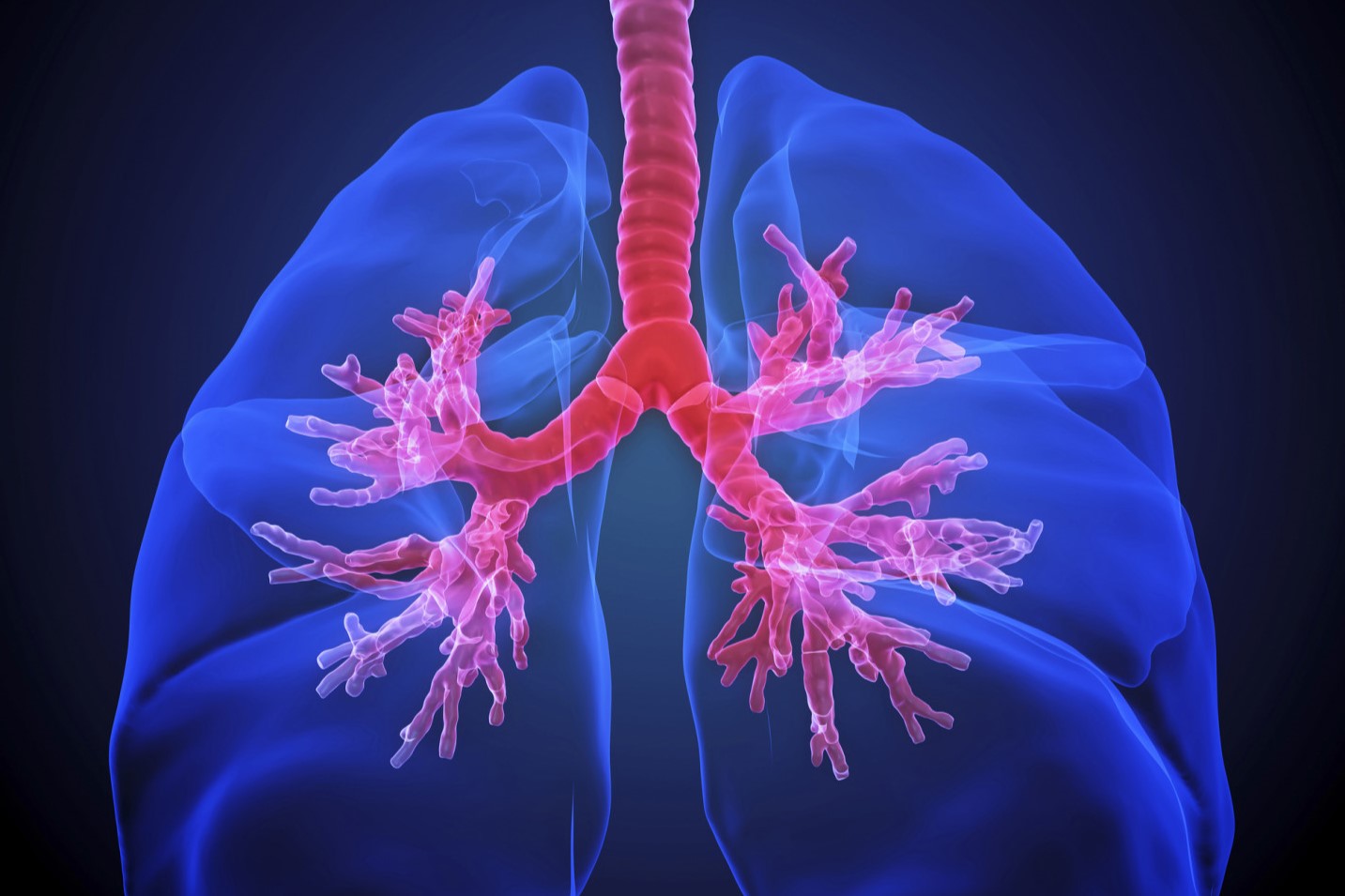 50-facts-about-idiopathic-dilatation-of-the-pulmonary-artery