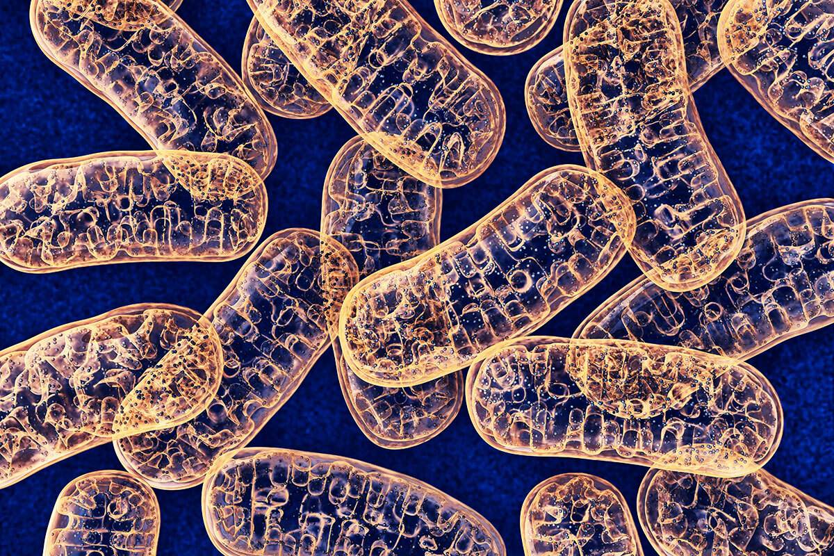 50-facts-about-mitochondrial-disease