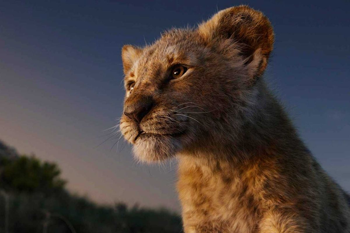 50-facts-about-mufasa-the-lion-king