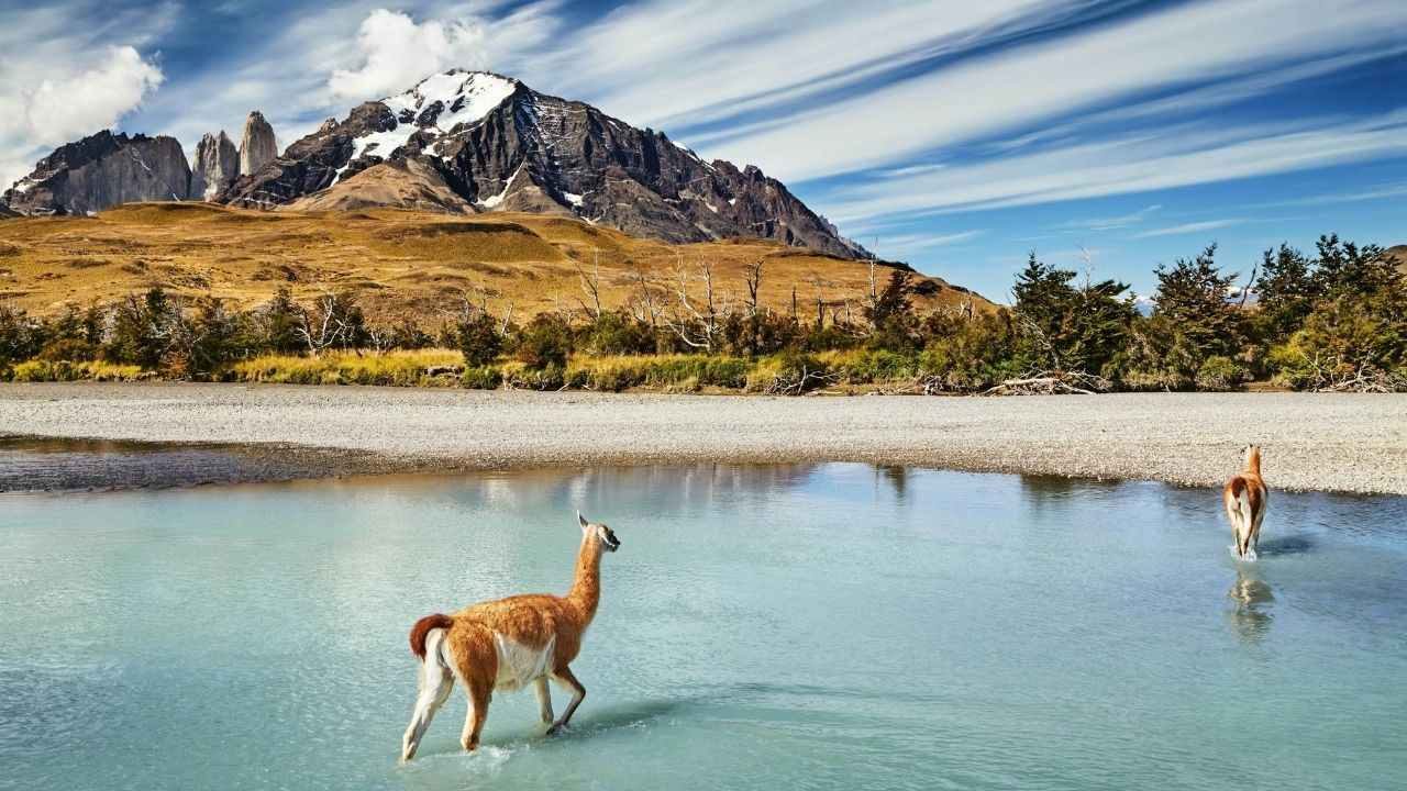 50-facts-about-patagonia