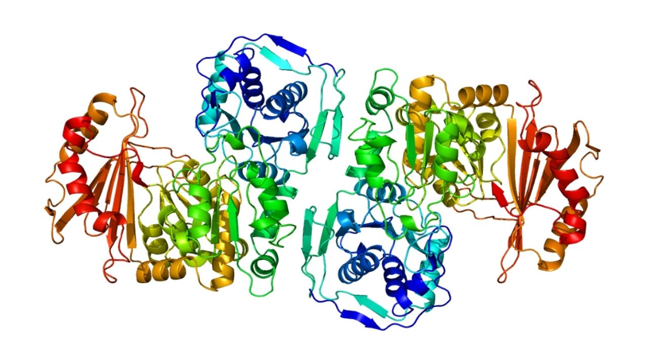 50-facts-about-phosphoglucomutase-deficiency-type-1