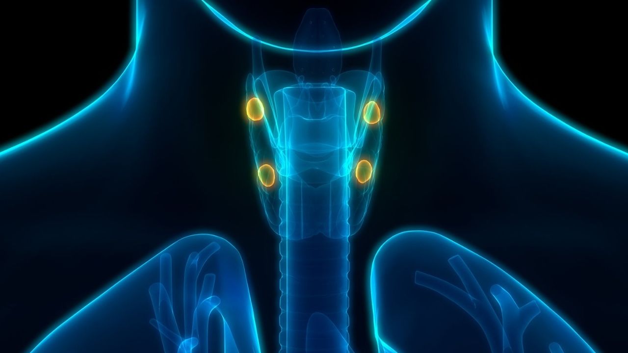 50-facts-about-primary-hyperparathyroidism