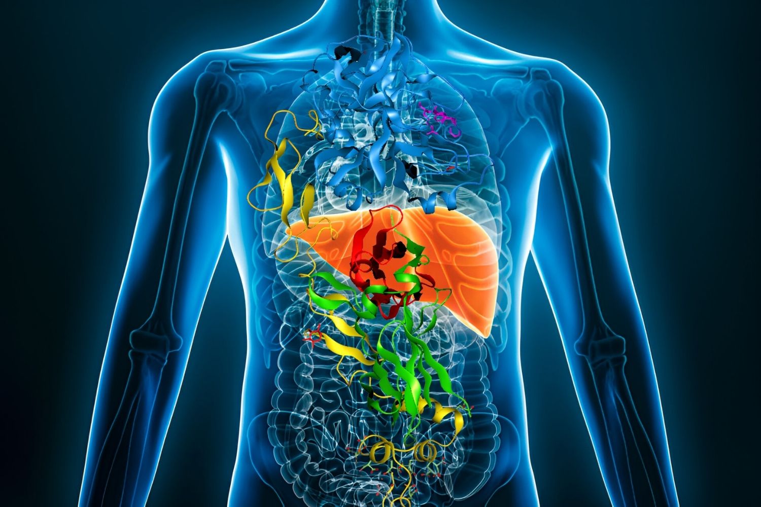 50-facts-about-primary-sclerosing-cholangitis