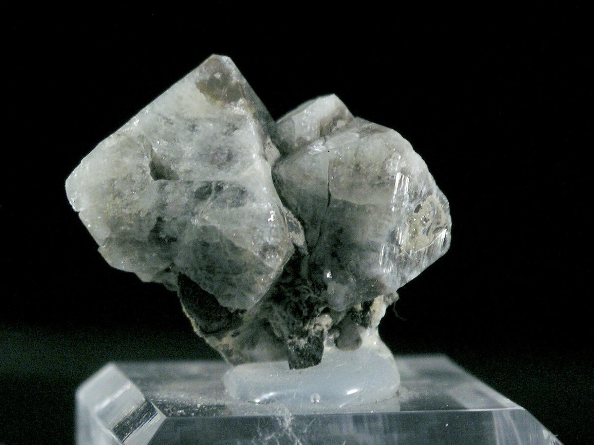 50-facts-about-wardite