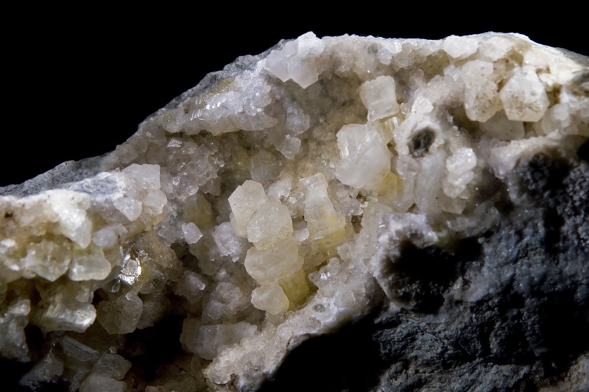 50-facts-about-weloganite