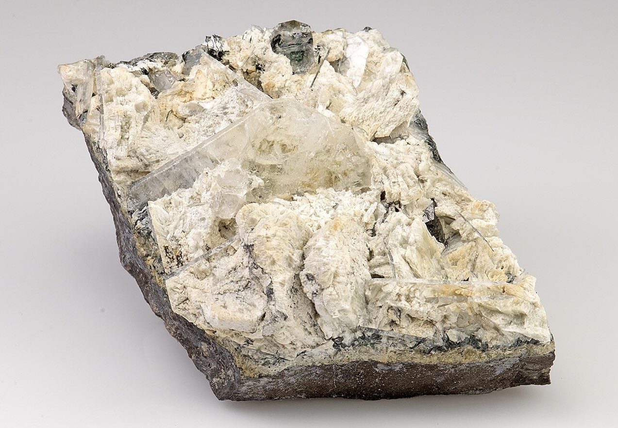 50-facts-about-whitlockite