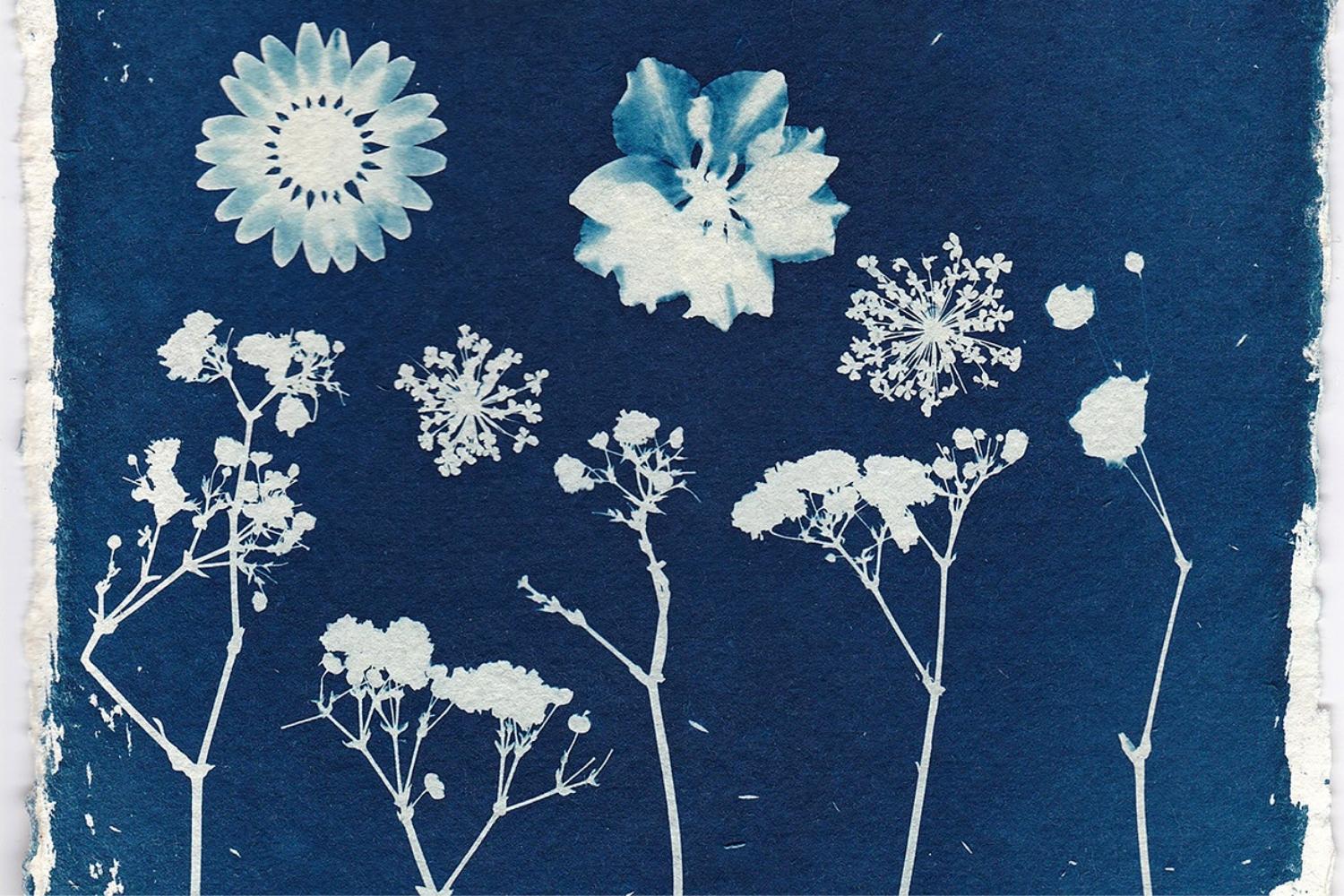 29-facts-about-cyanotype