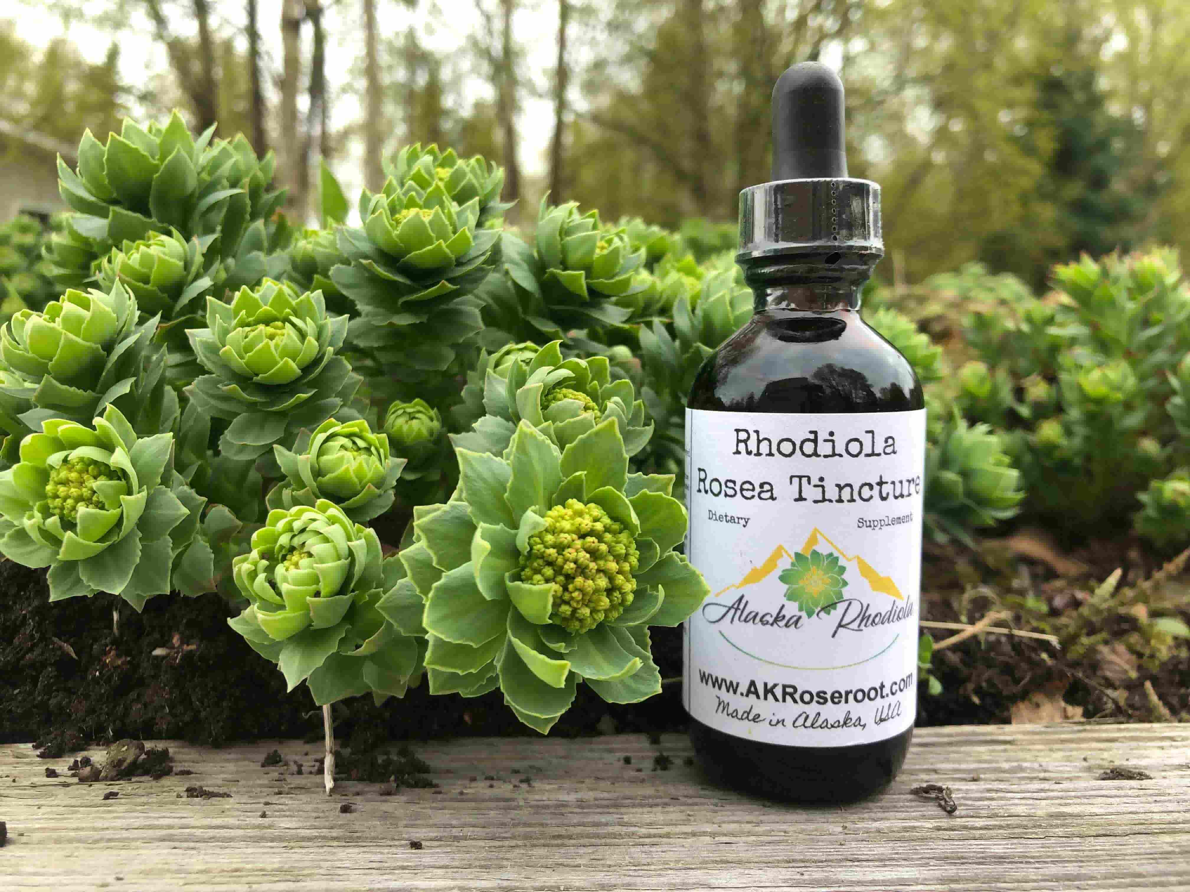 31-facts-about-rhodiola-supplement