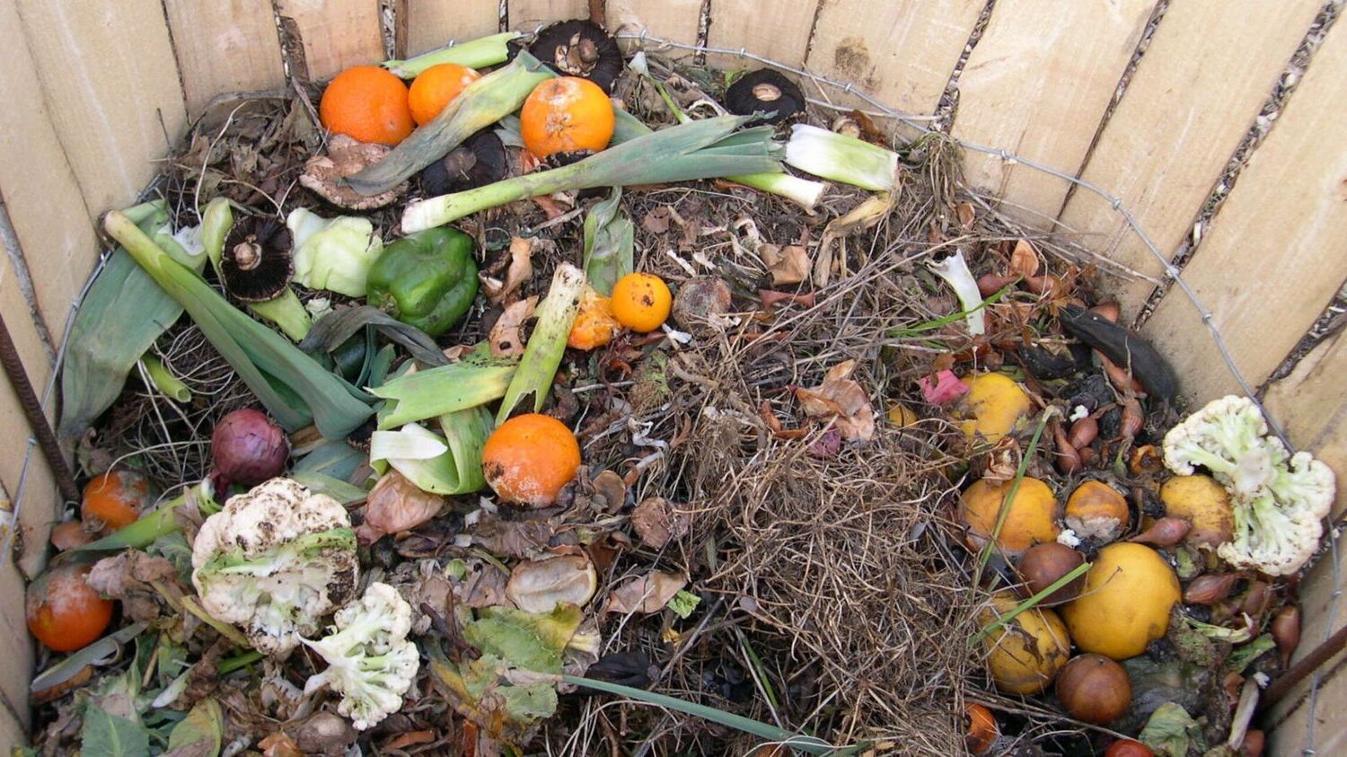 32-facts-about-compost