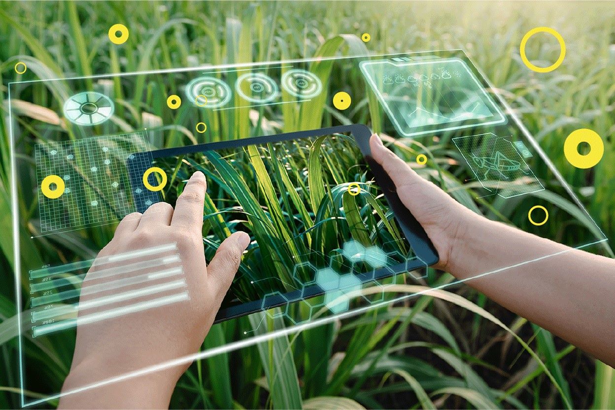 33 Facts About Agritech Facts 33 Facts About Agritech Facts