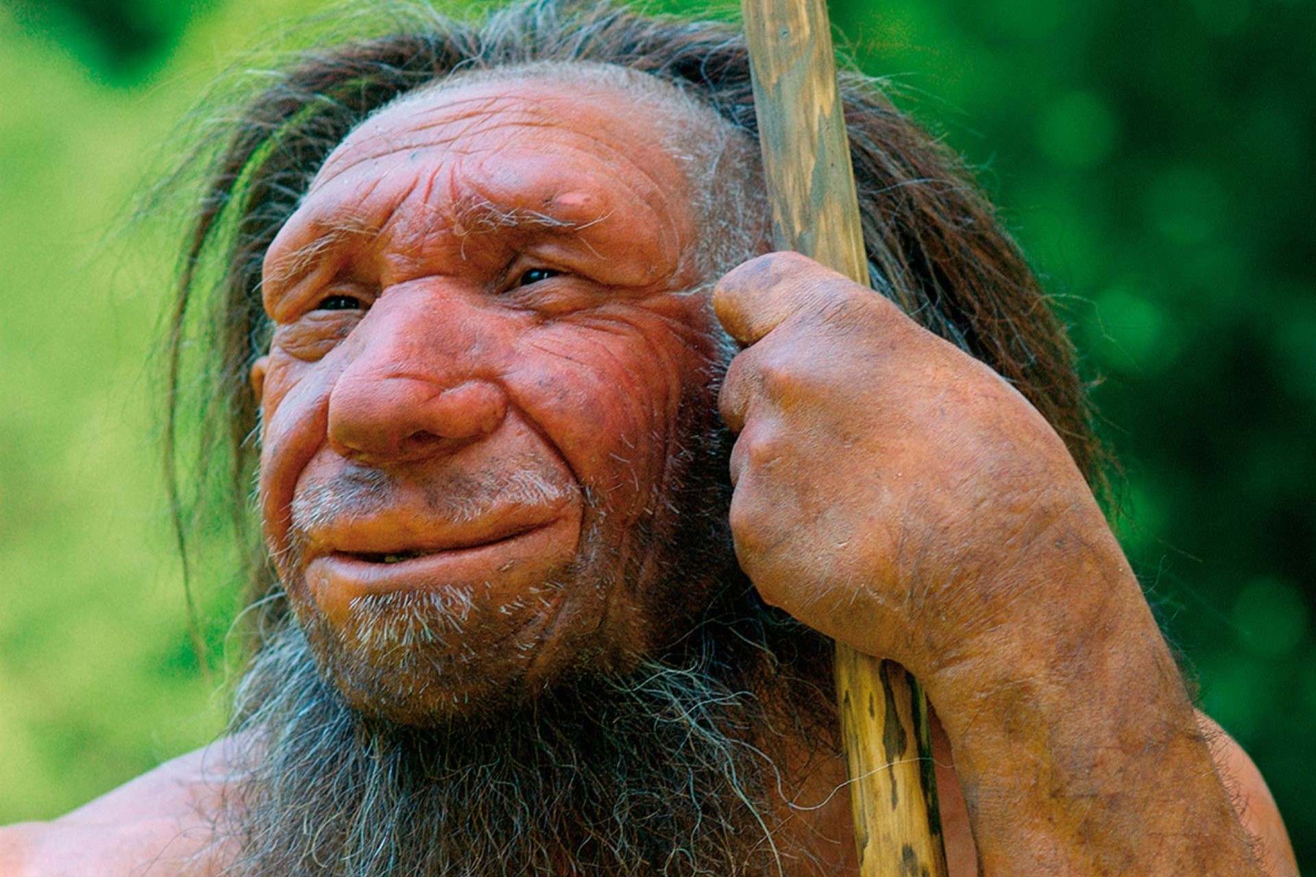 34-facts-about-denisovan