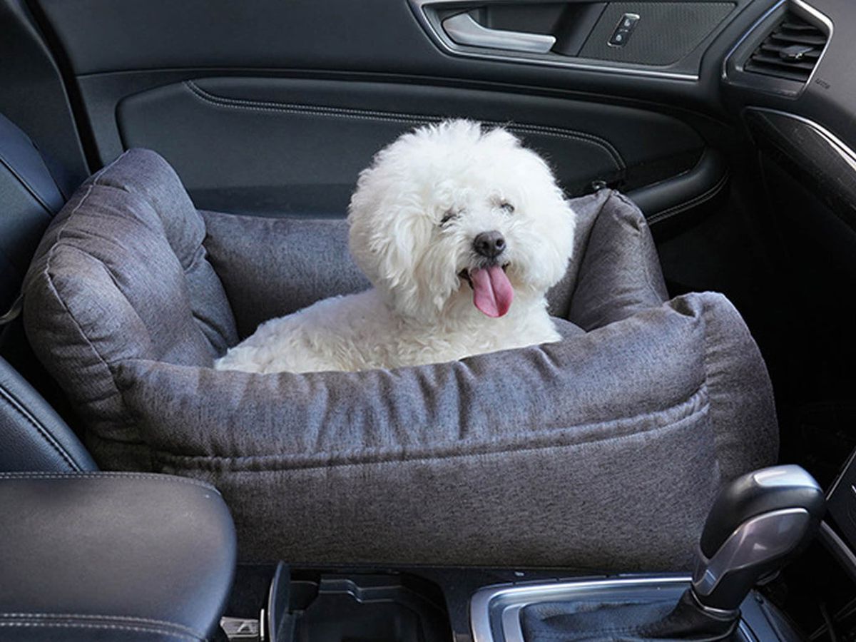 34-facts-about-dog-car-bed