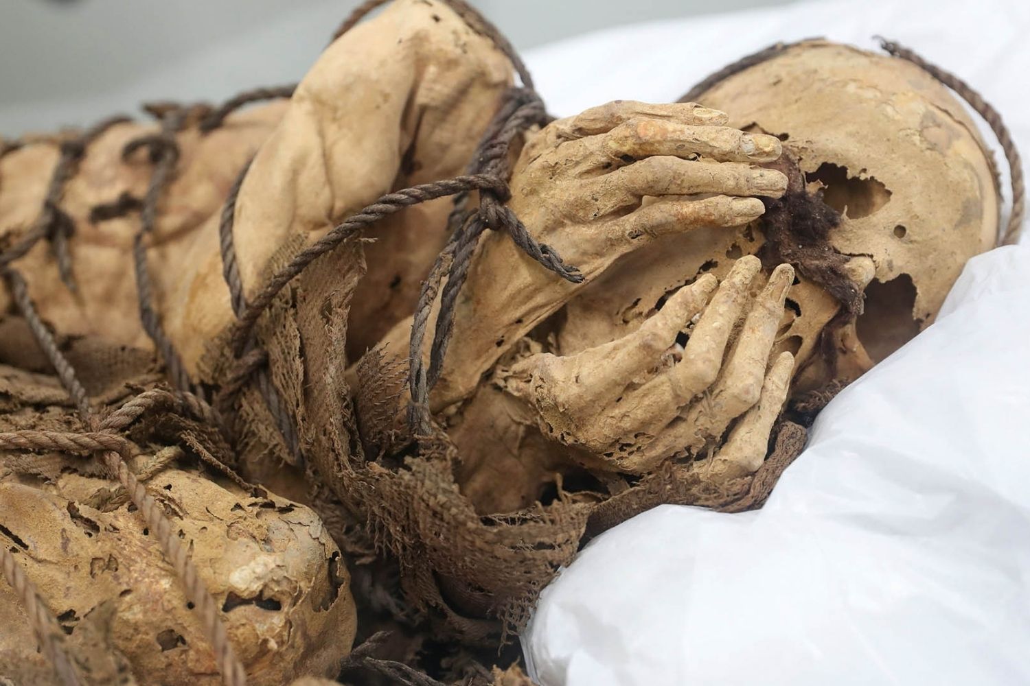 35-facts-about-cajamarquilla-mummy