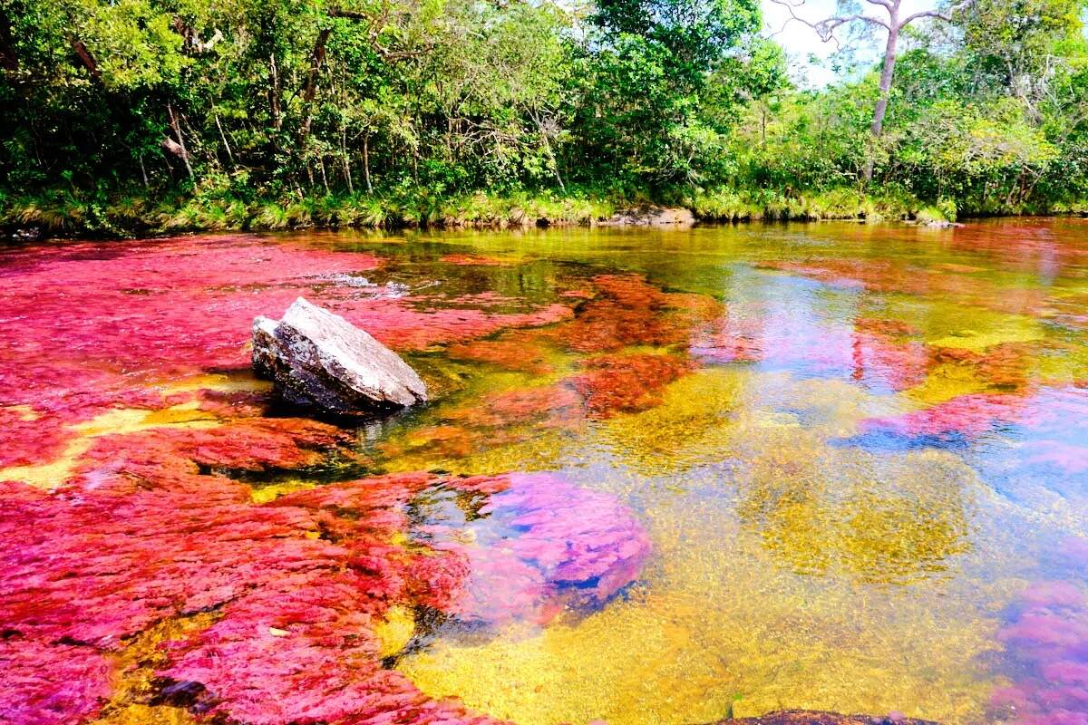 35-facts-about-colombias-stunning-river-of-five-colors