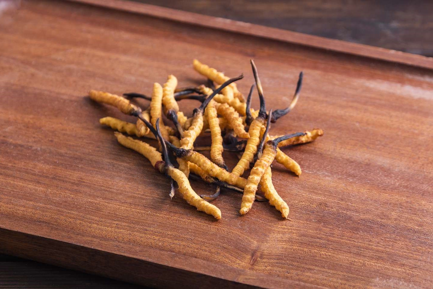 35-facts-about-cordyceps