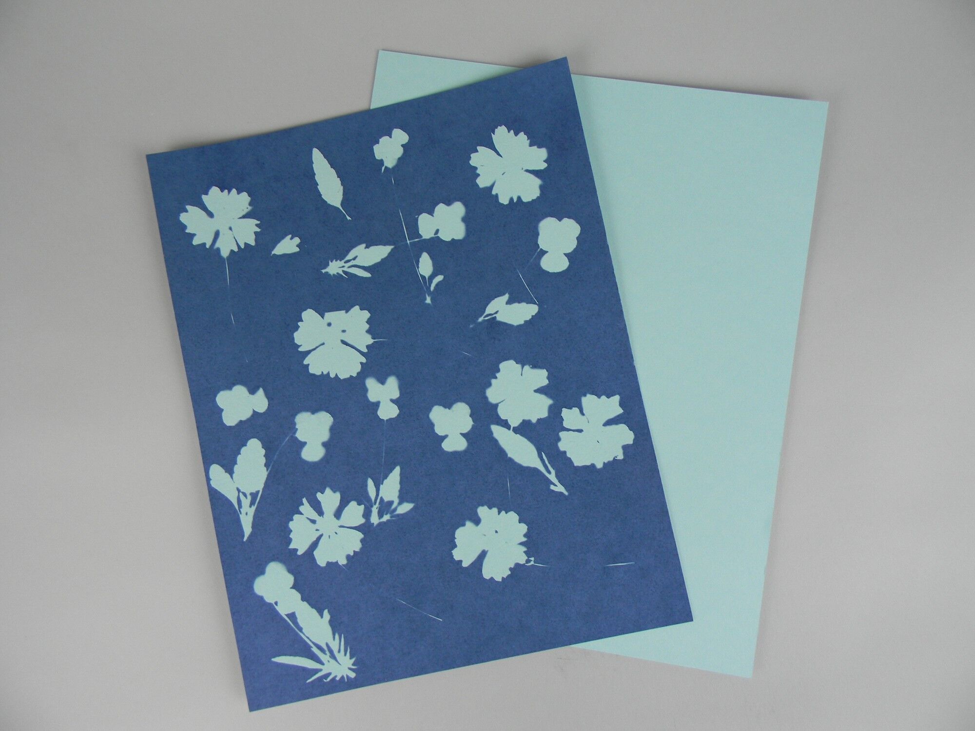 35-facts-about-cyanotype-paper