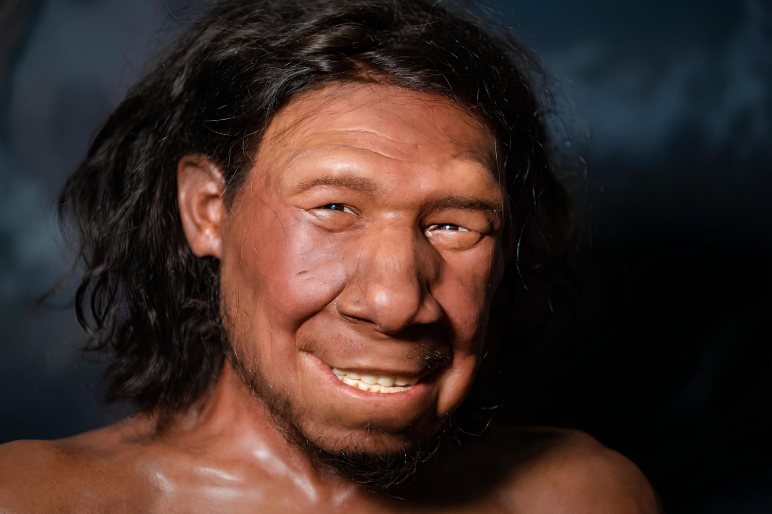 35-facts-about-human-neanderthal-minibrains