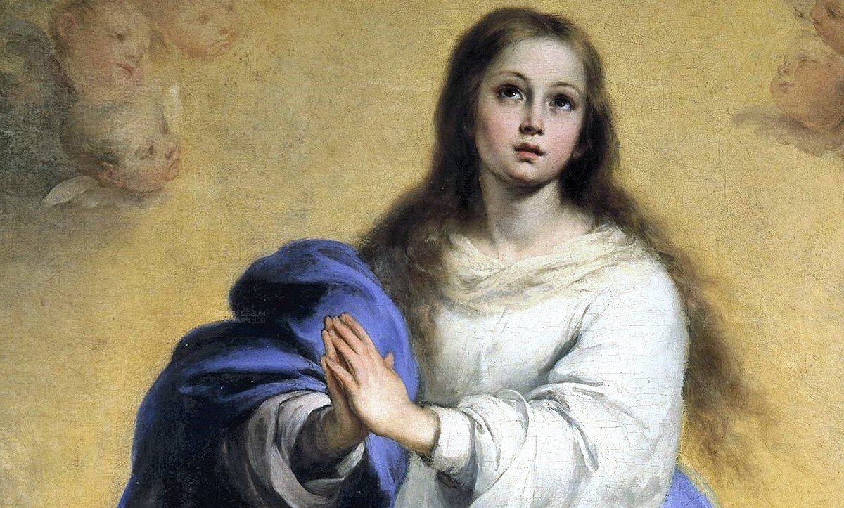 35-facts-about-immaculate-conception-restoration