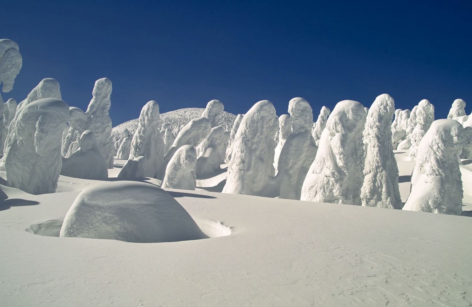 35-facts-about-japanese-snow-monsters