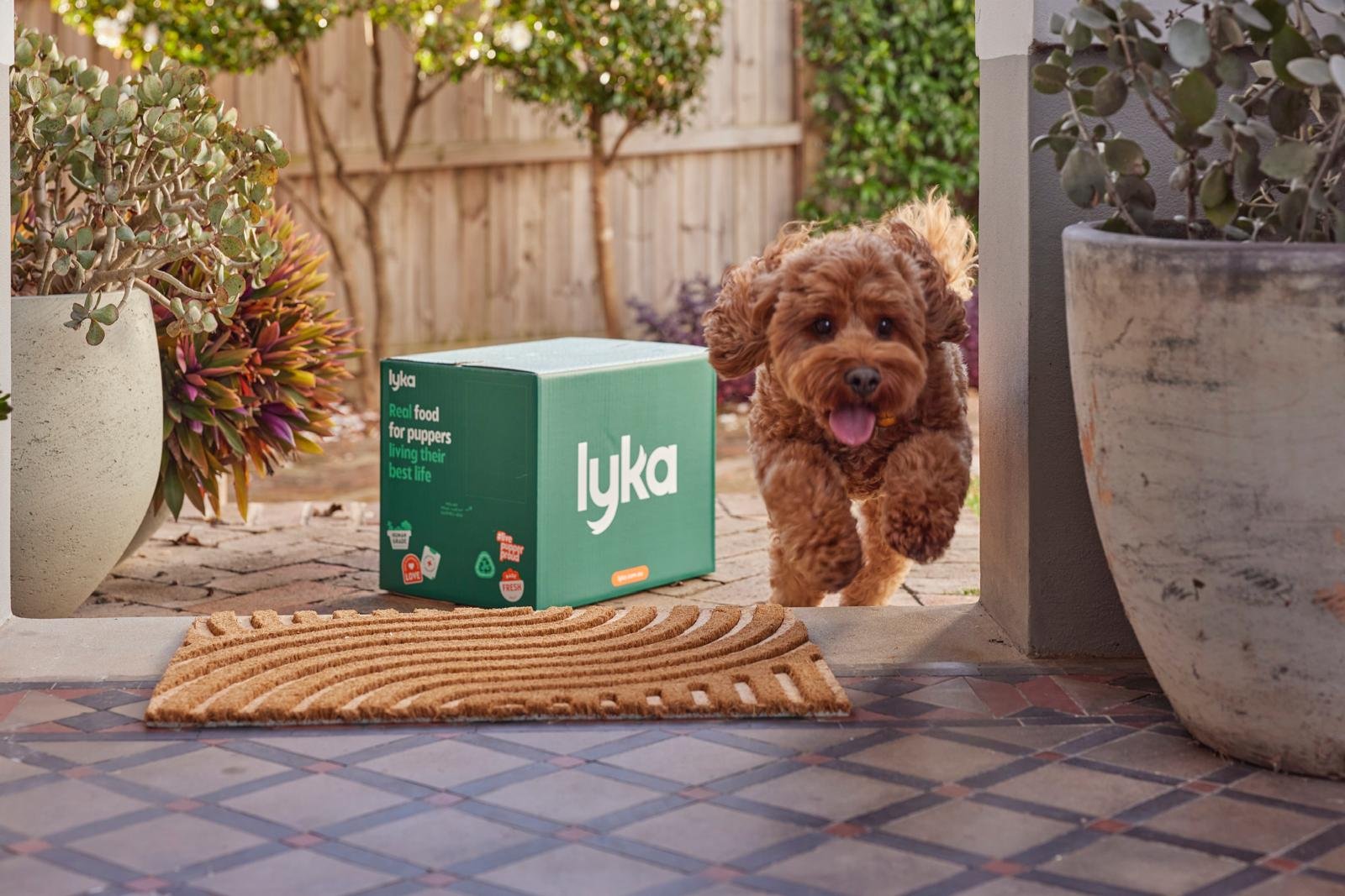 35-facts-about-lyka-pet-food