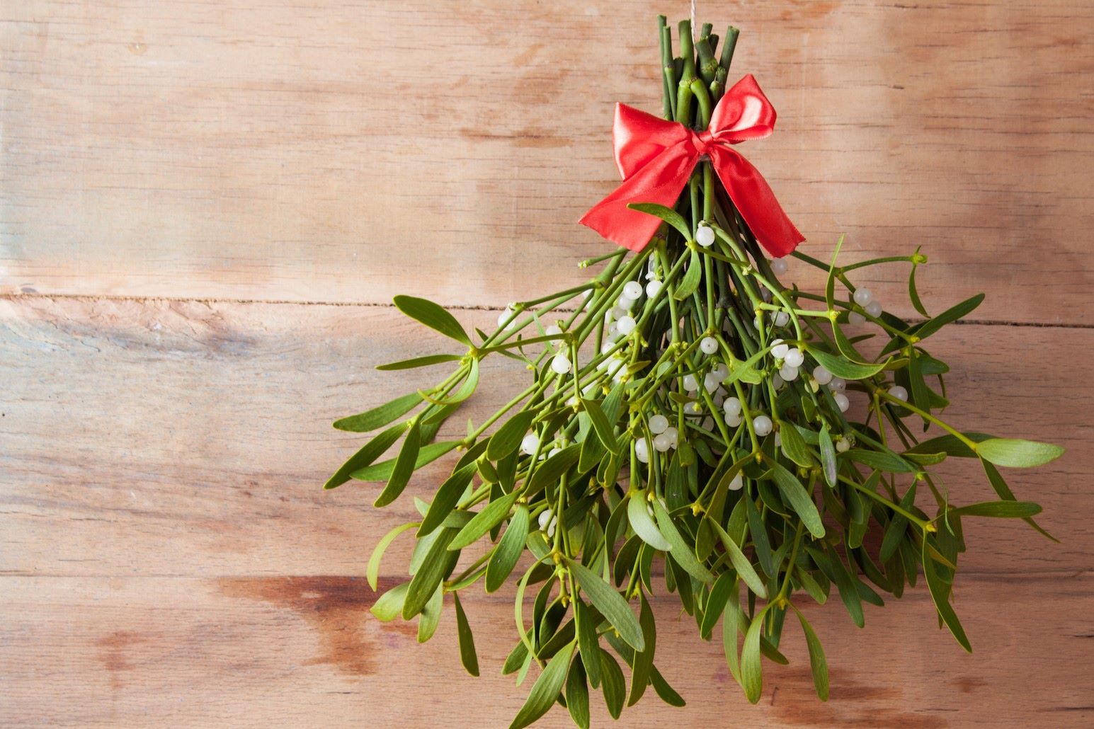 35-facts-about-mistletoe-history