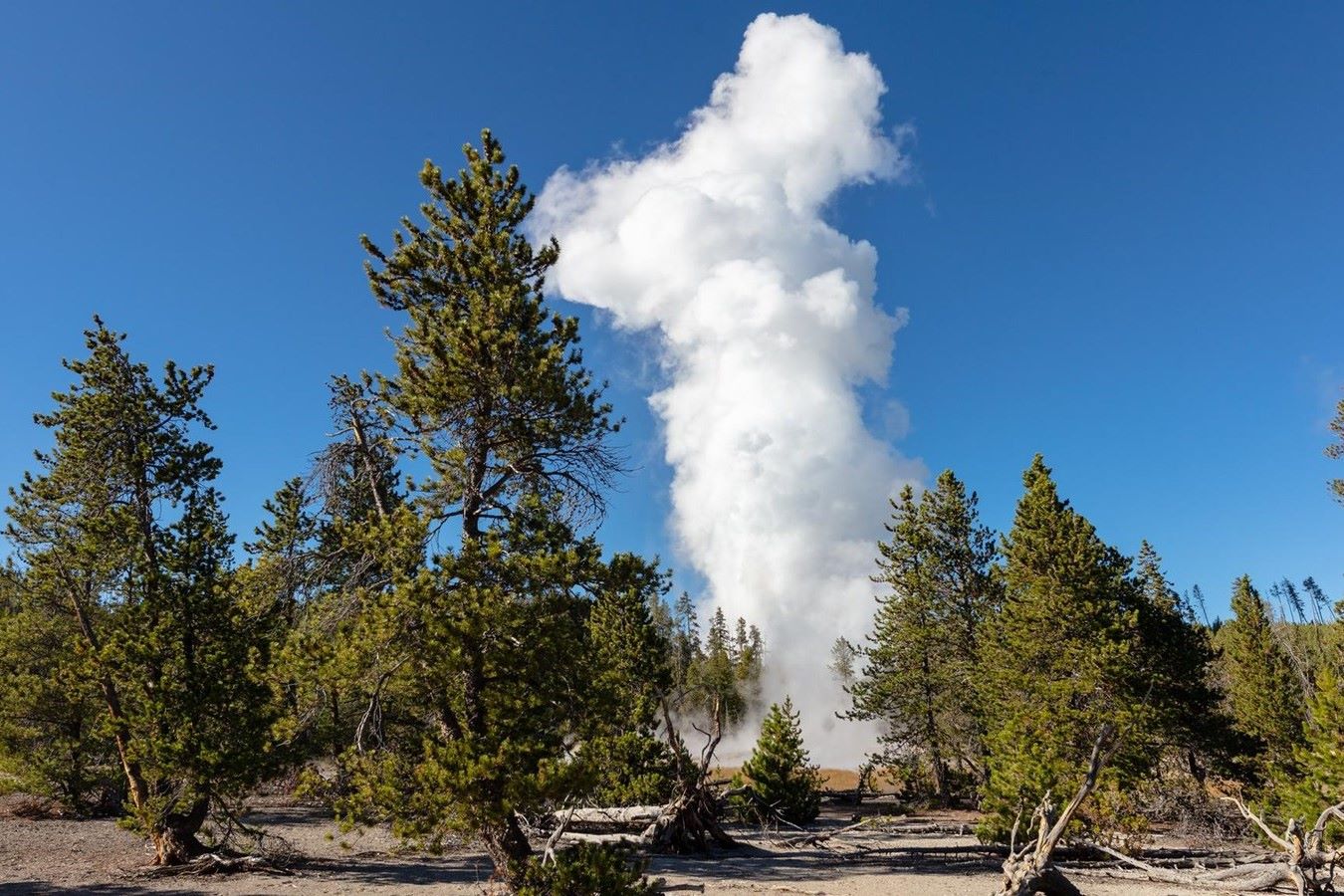 35-facts-about-steamboat-geyser-eruptions