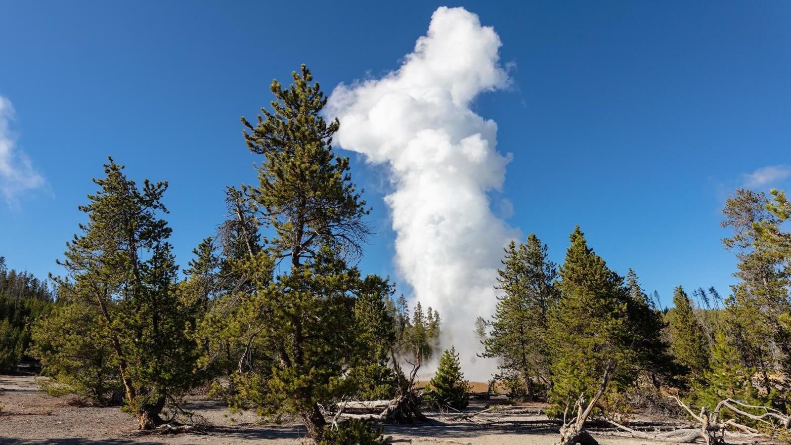 35-facts-about-steamboat-geyser-eruptions