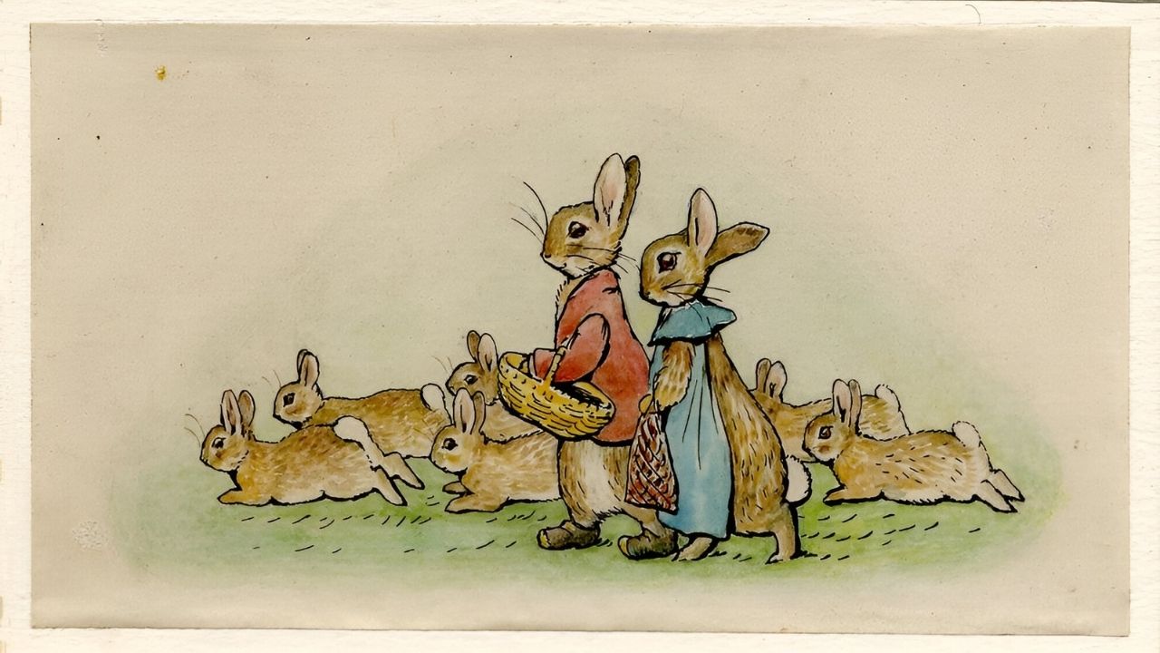 36-facts-about-peter-rabbit-book