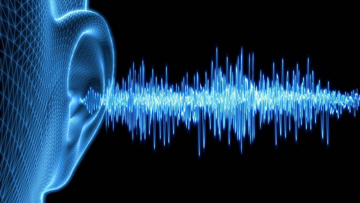 11 Facts about Sound Waves - Nature and Properties of Auditory ...