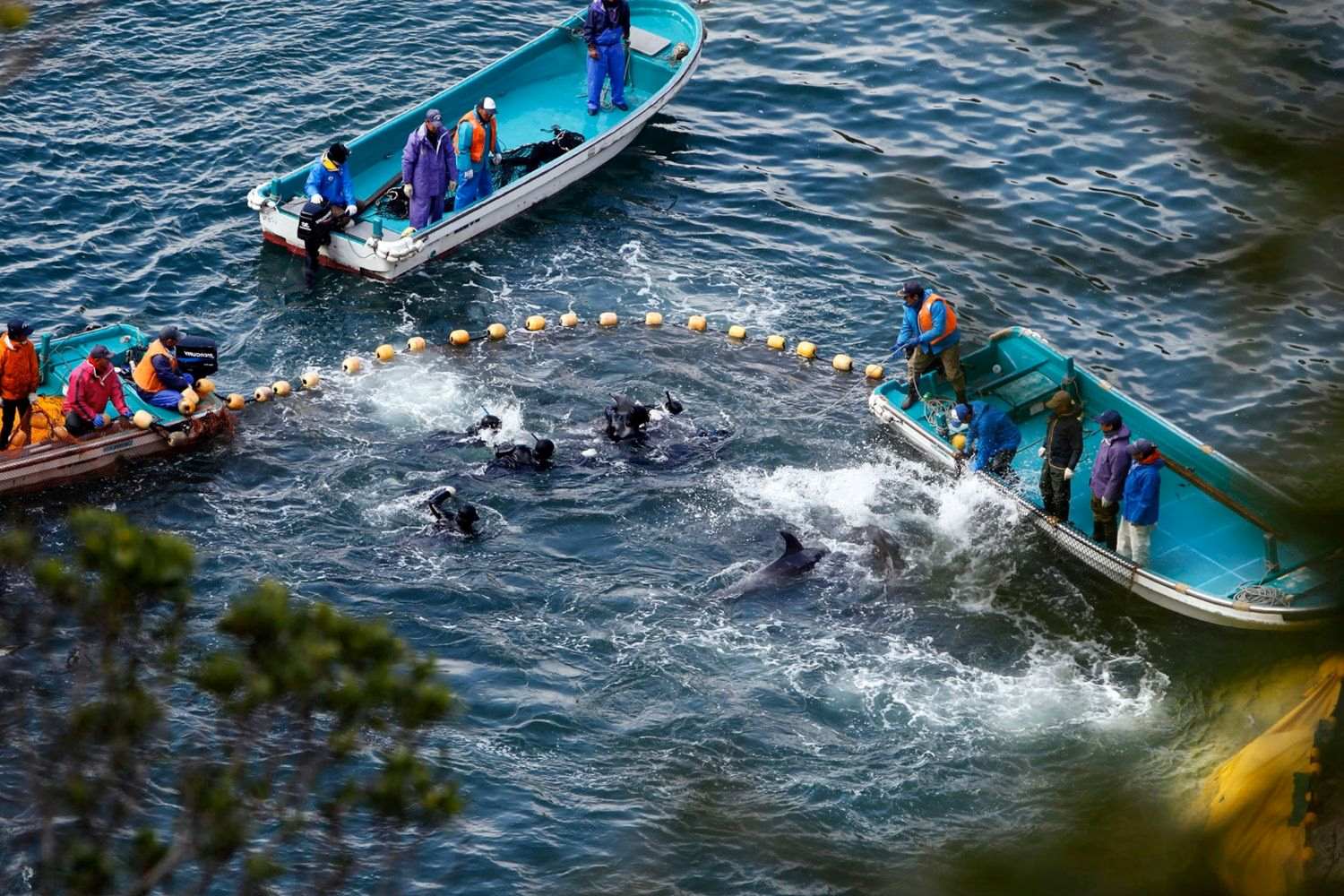 37-facts-about-taiji-japan