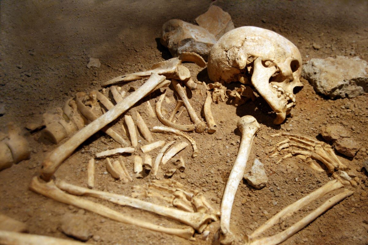 39-facts-about-human-remains