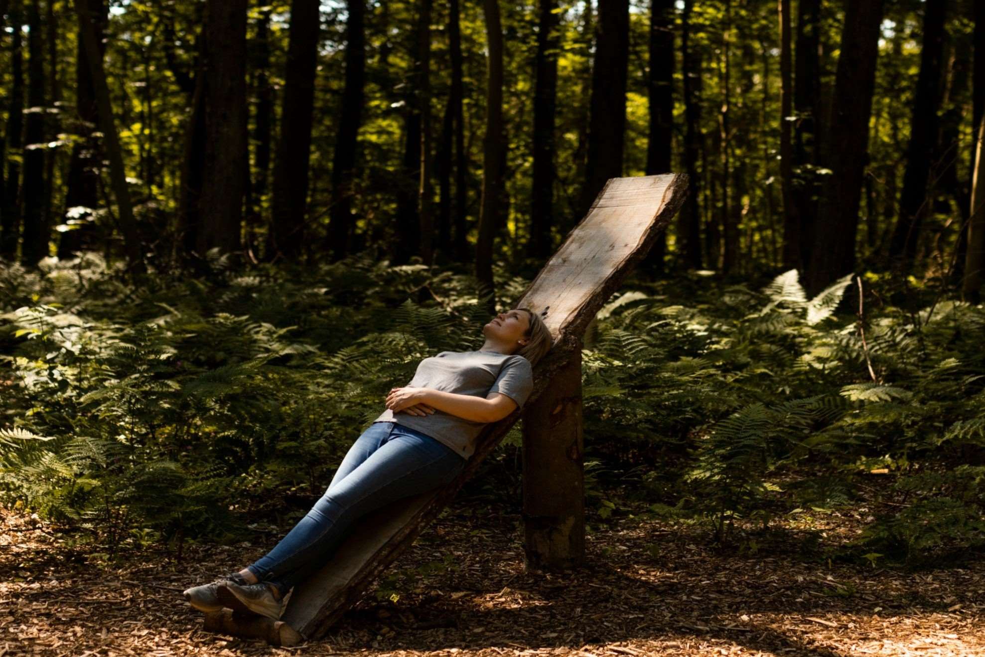 40-facts-about-forest-bathing