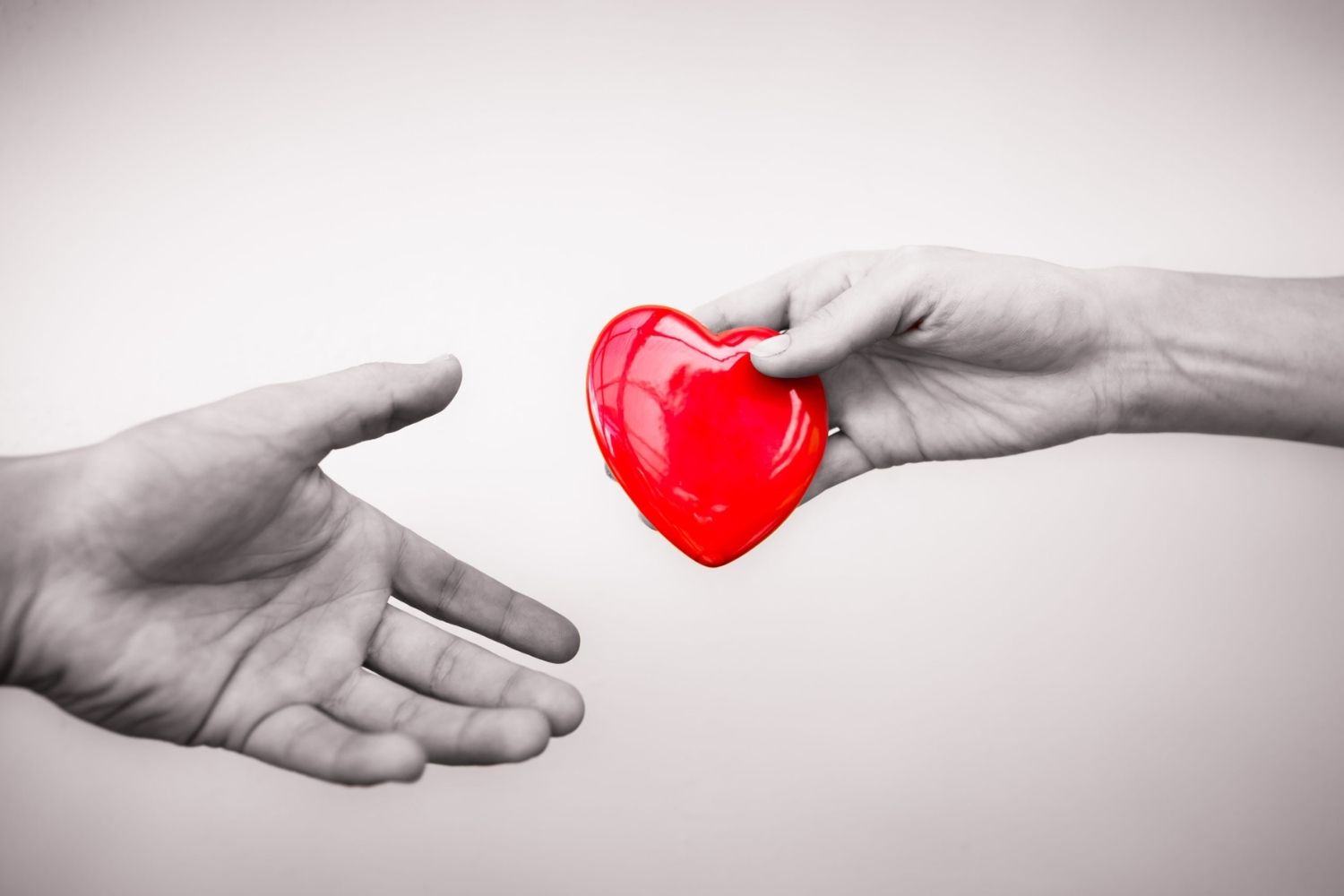 31-facts-about-charity
